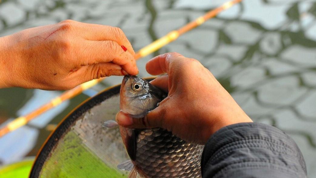 运动|不同阶段的钓鱼人，一年钓鱼的花销对比