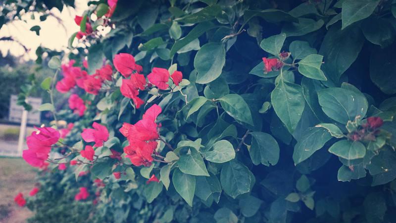 人力资源|高考：最“坑”的11个专业，毕业后找工作难，而且待遇低