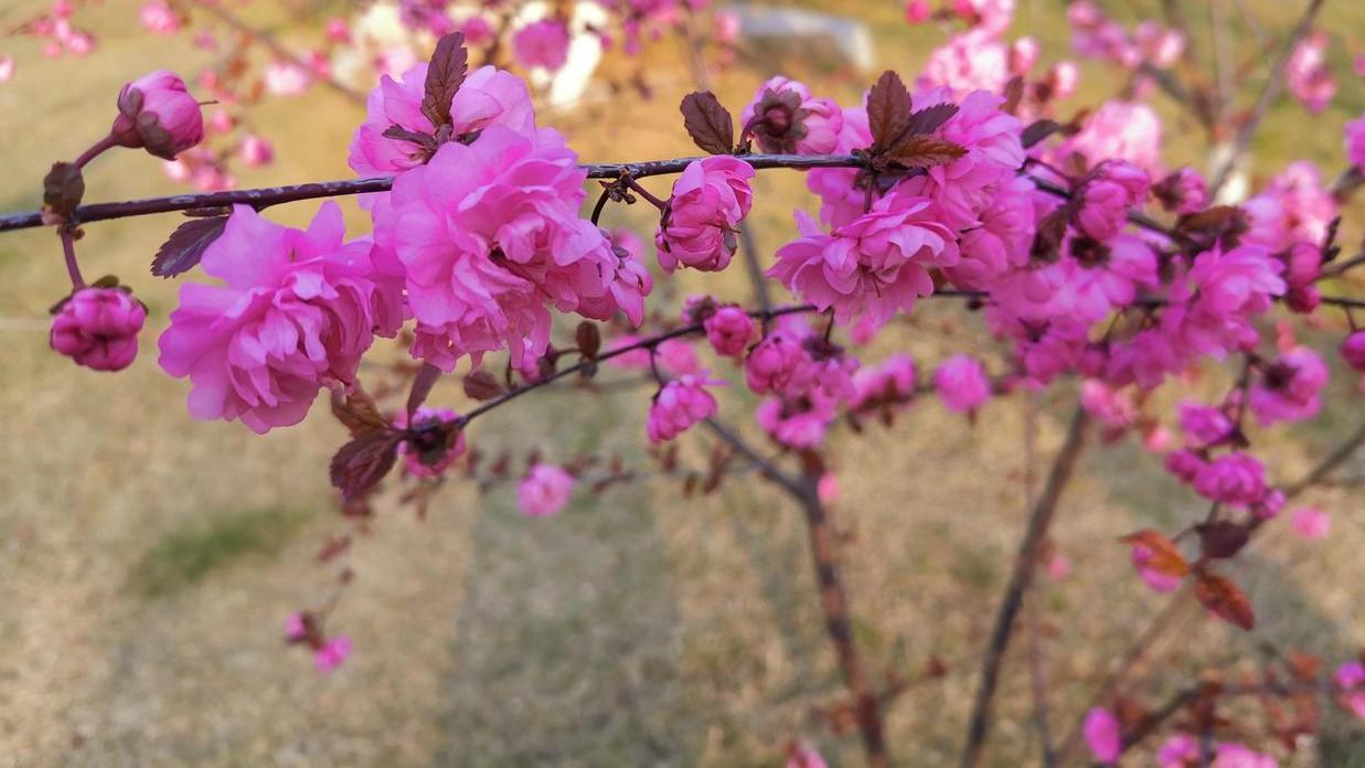 高校|写作能力是职场人士的核心竞争力