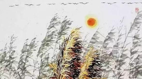 美丽 不管多忙，一定要看