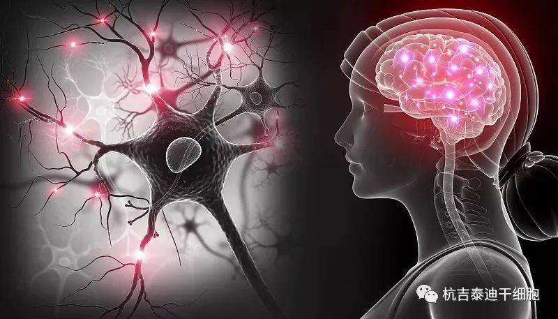 神经干细胞移植在目前临床中面临的问题有哪些?