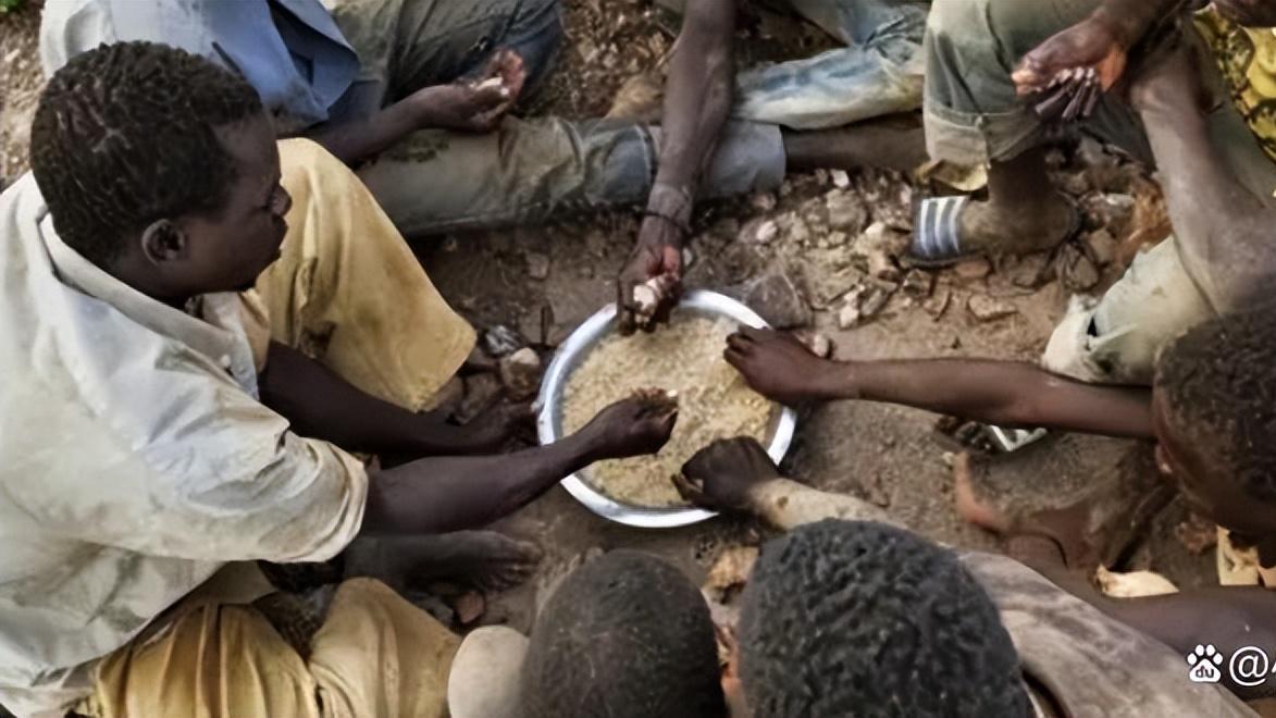 巫溪|在非洲迎娶白富美，只要有一棵树！有了它，全家人都不愁吃就住