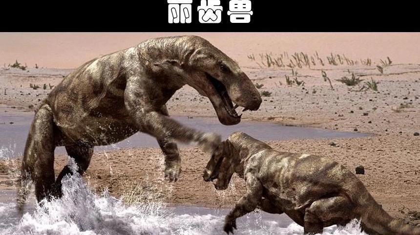 比巨齿鲨还要更加可怕的10个史前生物