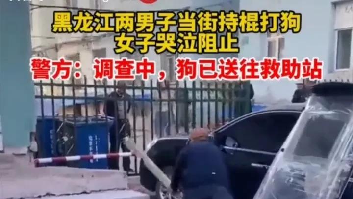 男子持带钉子的棍棒抡打流浪狗！！令人发指！！