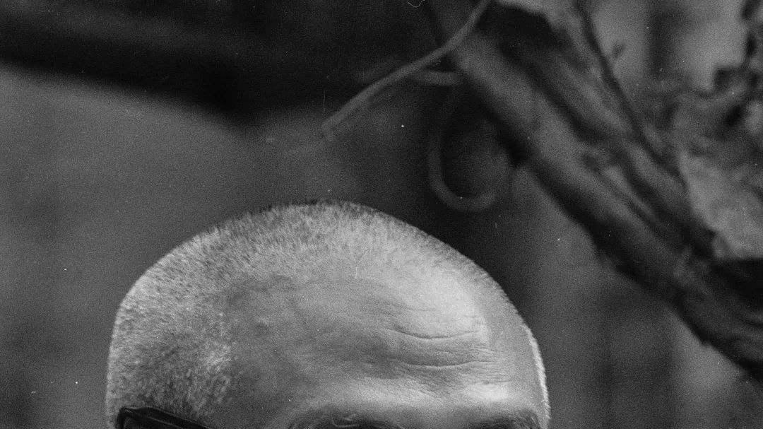 陈山聪|京剧《谢瑶环》杜近芳、关肃霜、李维康各有千秋，唯独田汉可惜了