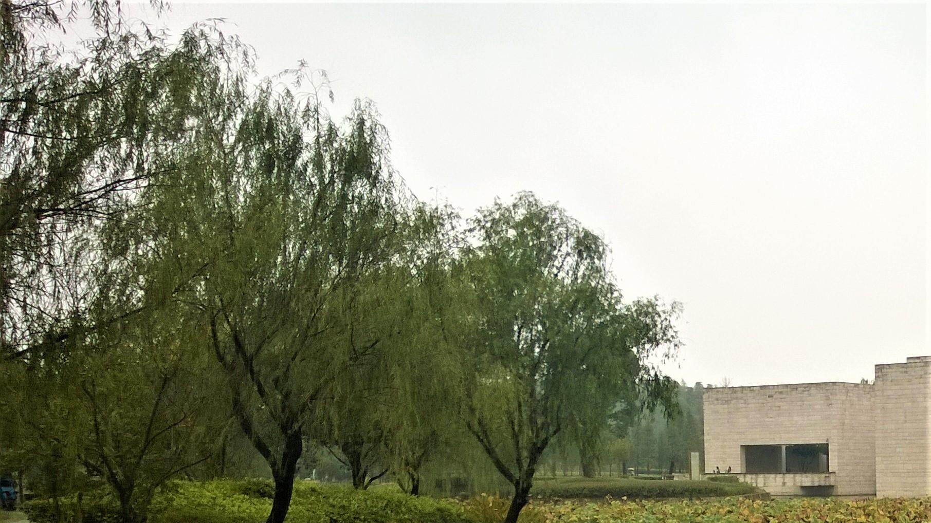 金昌|天天比较，容易心焦