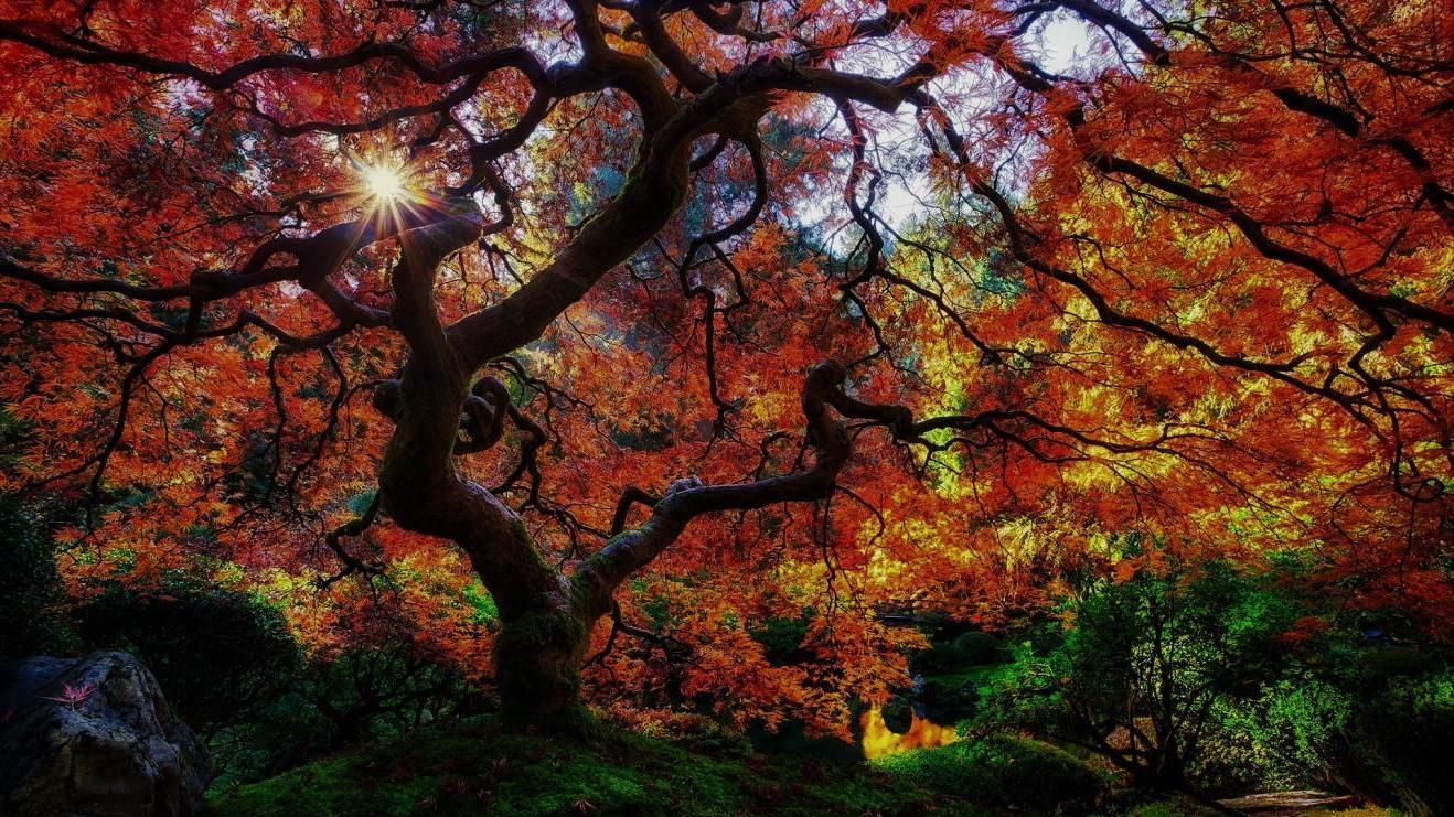 人物设定|职场中的“顶头上司”，拥有这些能力，可以为公司效劳