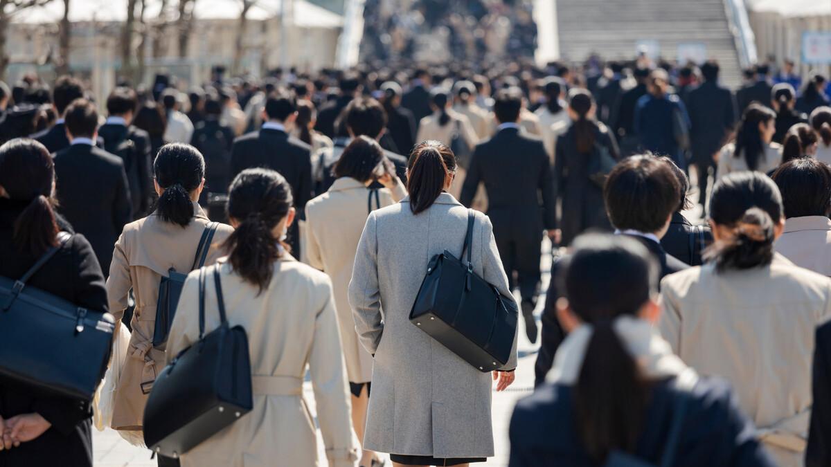 求职|年前找工作好，还是年后找工作好？求职需警惕，小心陷入羊群效应