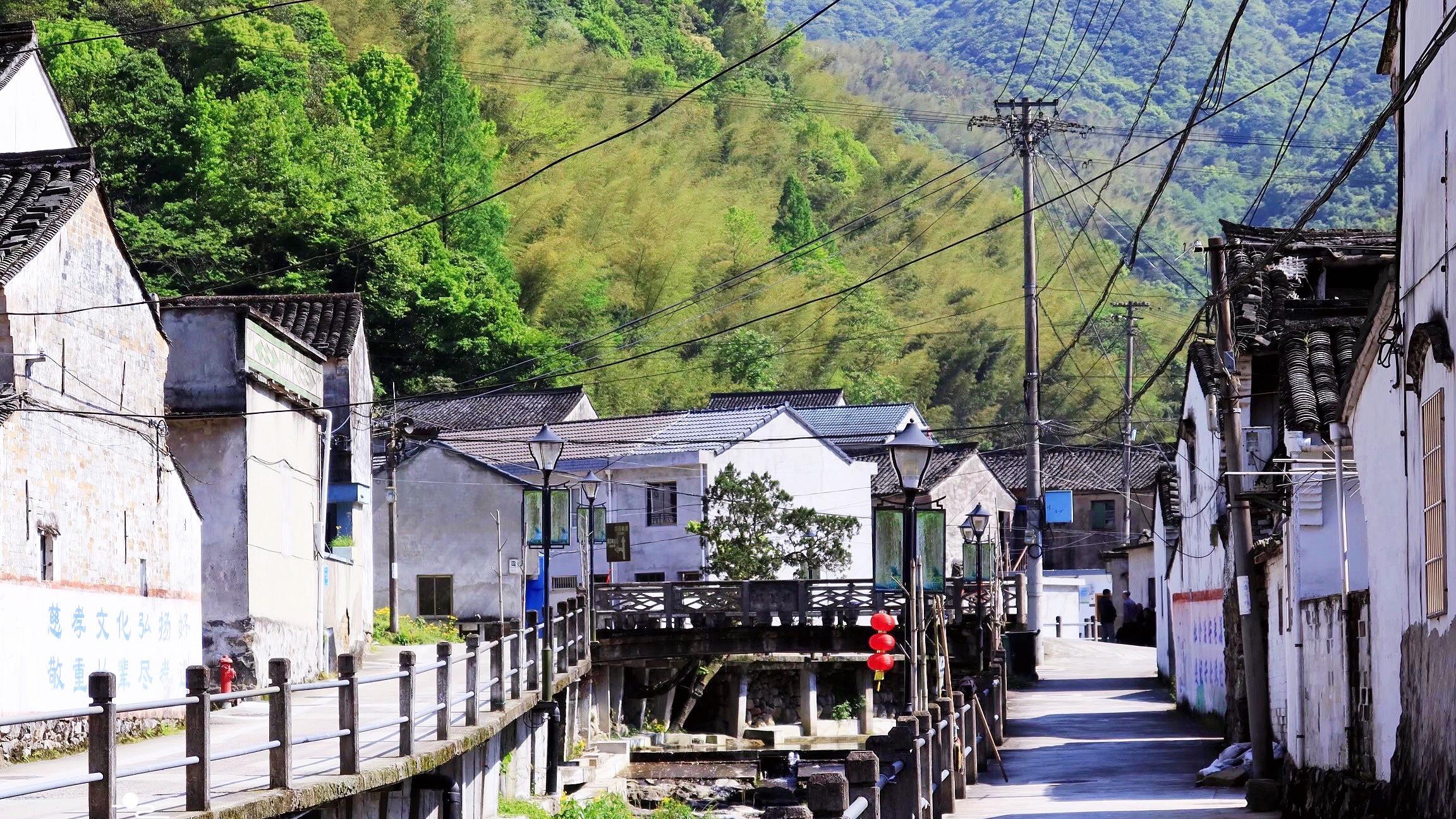 昆虫|浙江这个古村依山傍溪，村外风景秀丽，因此催生出一位昆虫学家