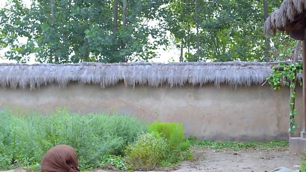 陈浩民|痛失亲人，我们应该如何面对？老子痛失十几位亲人后对生死的感悟