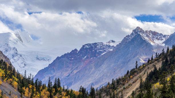 林芝|世界上唯一一条海拔8000左右、平均500米的峡谷，景色美如画卷。