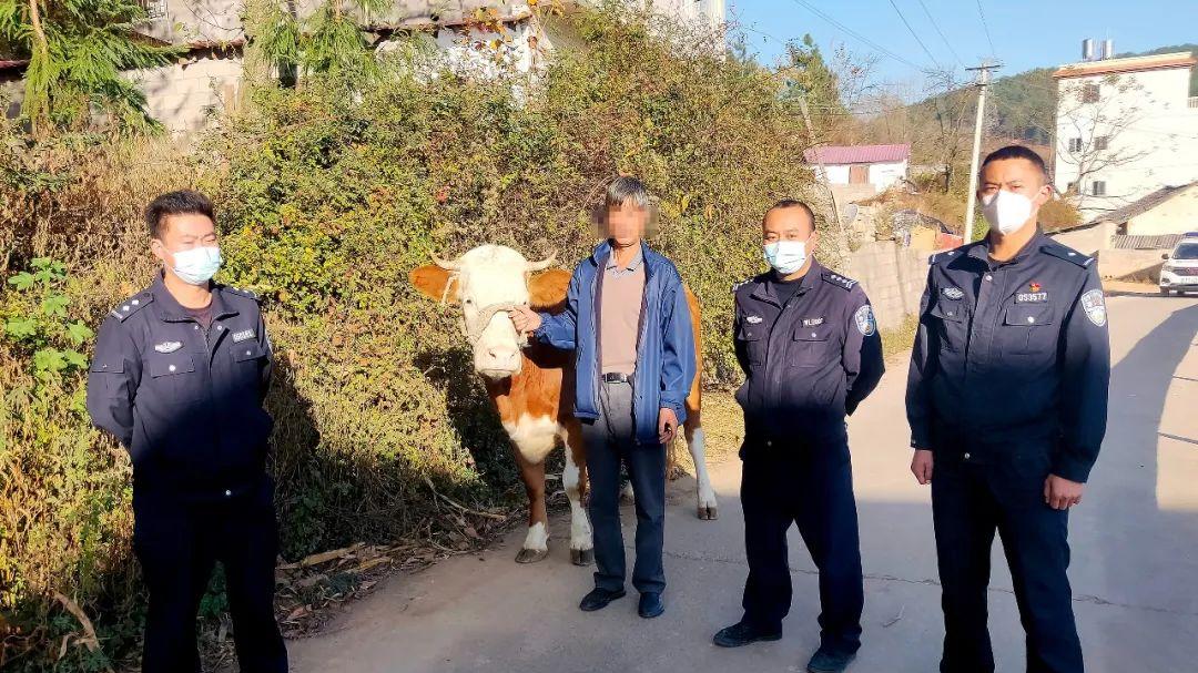 威宁民警又寻回群众走失的耕牛
