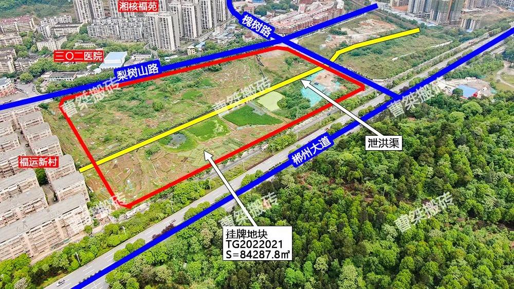 |3.3亿！郴州梨树山挂牌拍卖126亩地块
