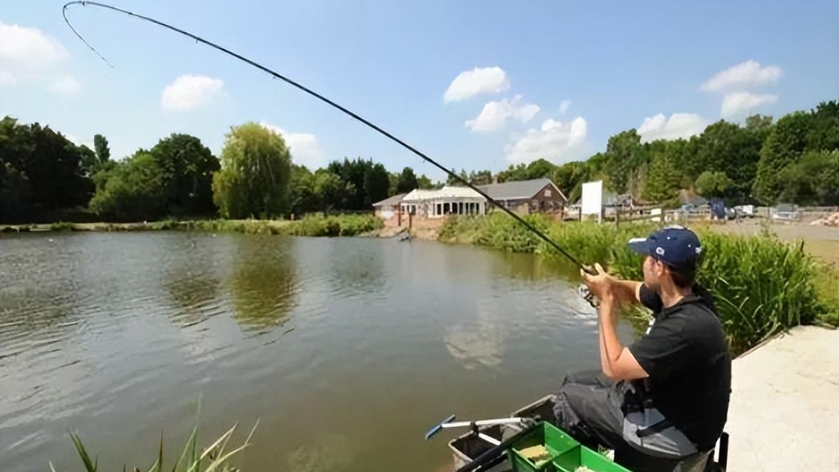 饵料|窝中进了大鱼，想把它们钓上来，还要做好以下几件事