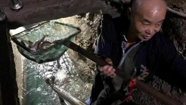 在地球上挖一个水湖，不限时长、不去干预，能长出鱼类吗？