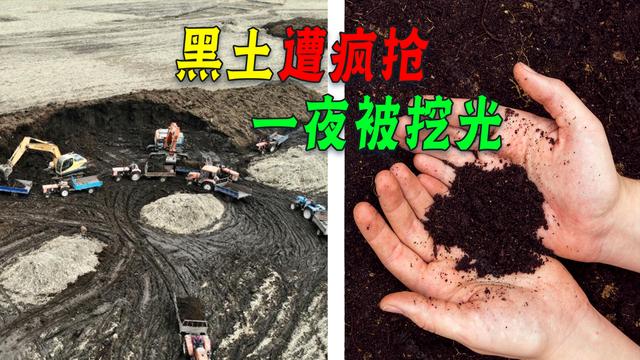 东北黑土遭疯狂盗挖，有人“一夜暴富”，为啥黑土如此值钱？