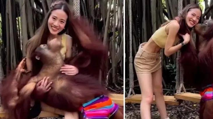 泰国一红毛猩猩对美女网红又吻又抱，秀出天际，网友：不如丢那猩