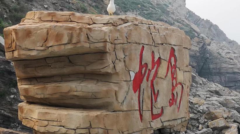 为啥全世界有那么多“蛇岛”，而且岛上的蛇还会越来越毒呢？