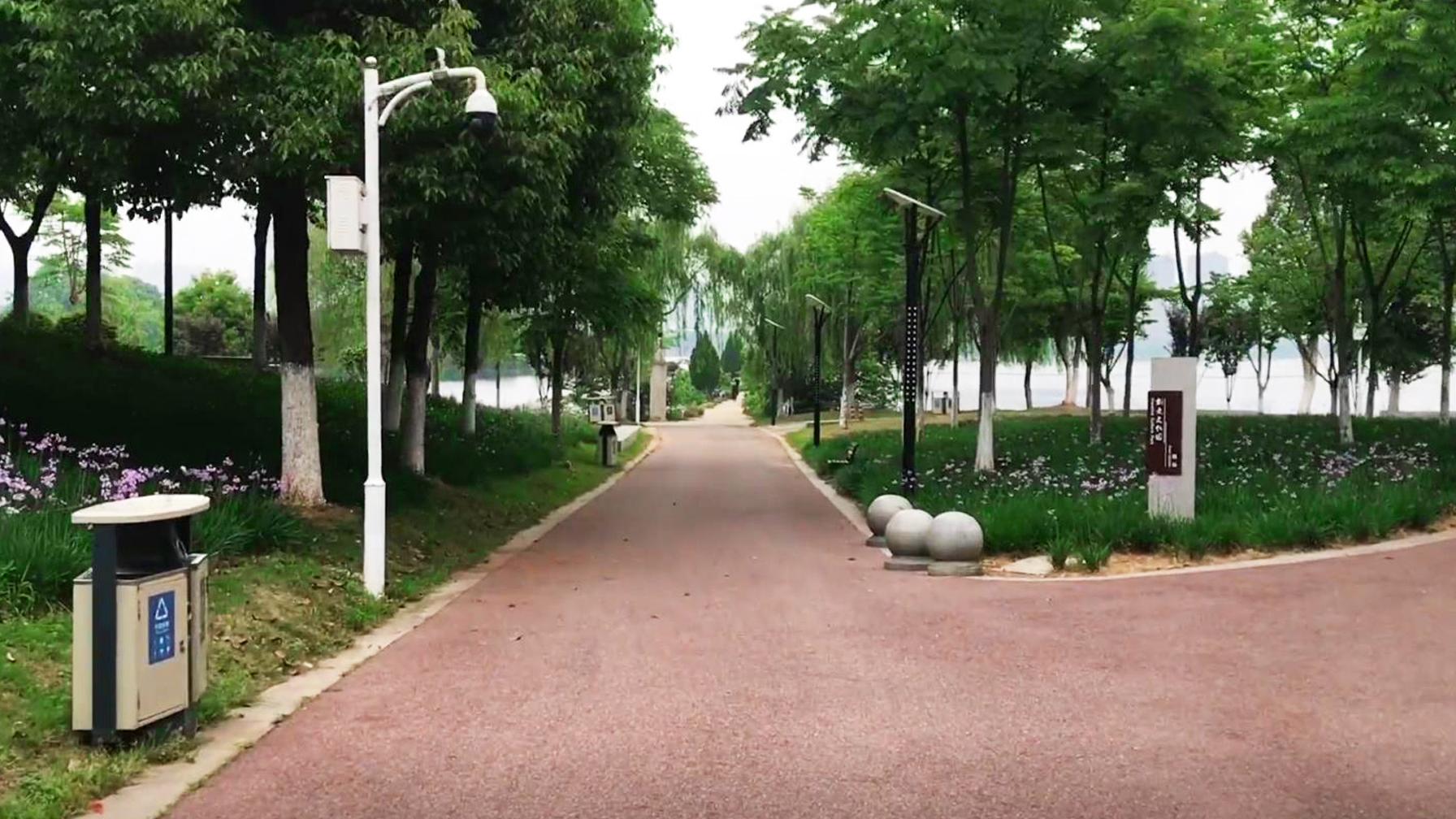 墨水湖|建在武汉郊区湖边的自然绿道，植被茂盛像公园，随处可见钓鱼人