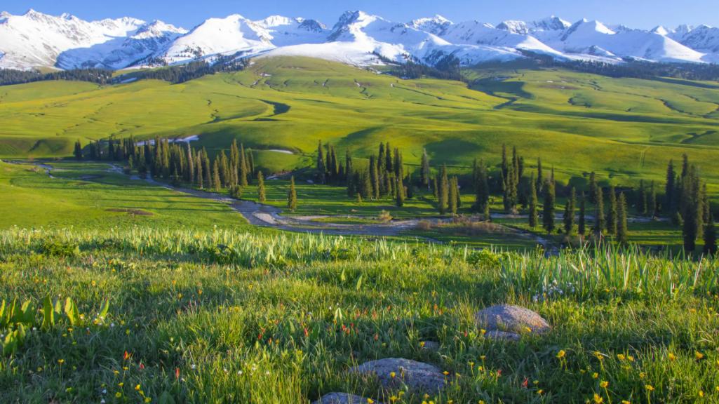 新疆维吾尔自治区|新疆，‘心’的‘疆土’，我在这里等你