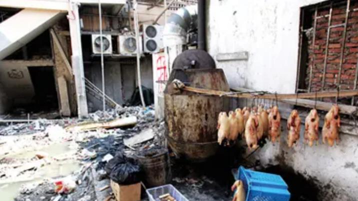 11年“黑心烤鸭”团伙落网，成本不足3元、月售5万只：自己不敢吃