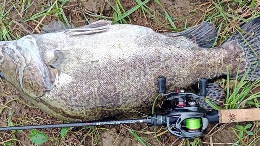 |不要命的垂钓人！直接下到水中遛大鱼，结局出乎大家的意料