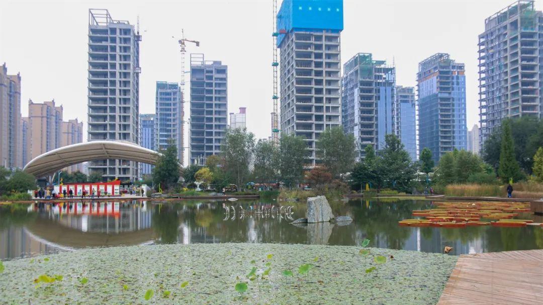 美丽|美丽的西安植物园【摄影铜川魏梅霞】