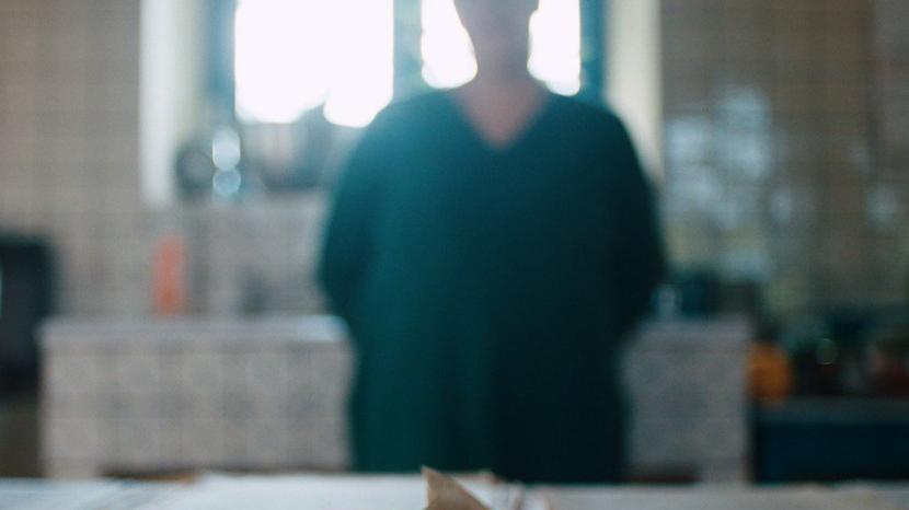 集中营|《阁楼上的秘密》：在纳粹集中营灰色地带里最美好的爱情故事