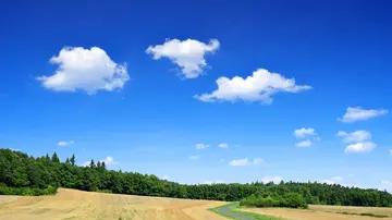 |职场中，做不到位的事情应该说出来