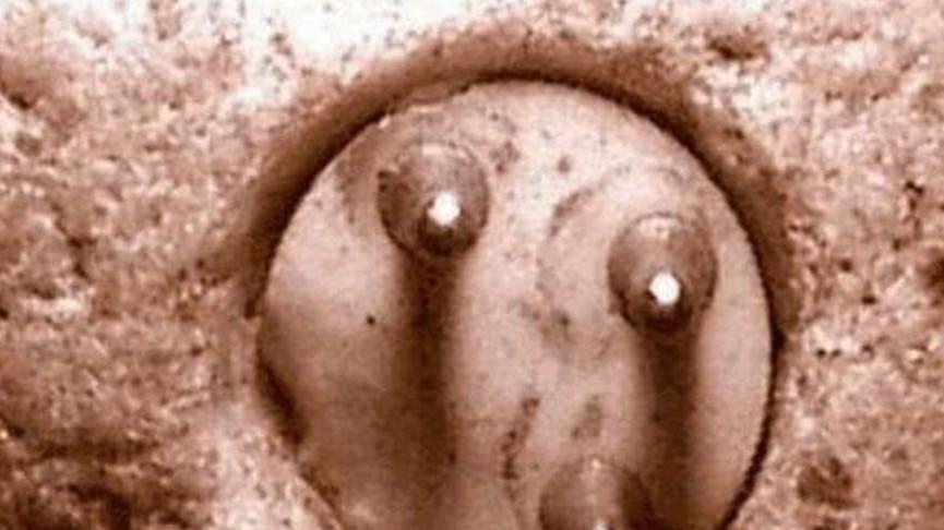 人类文明真毁灭过吗？是谁拔下了10万年前的“三相插头”？