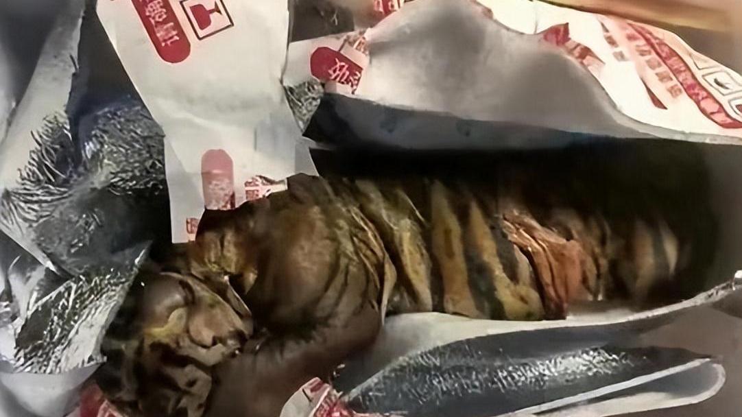 取快递竟收到死亡小老虎，来源又是马戏团，动物表演何时取缔？