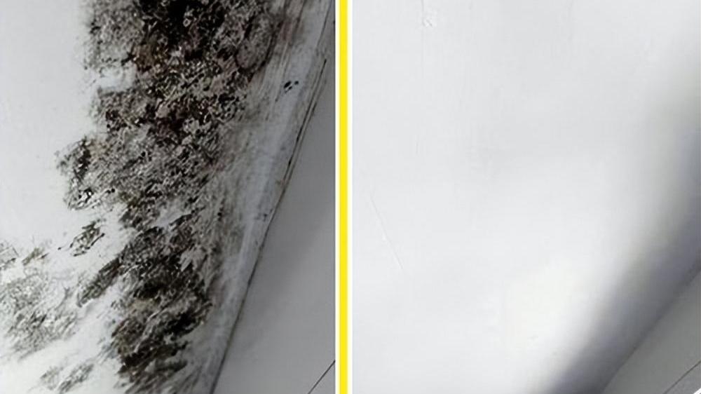 如果你不是个勤快人，建议购入这些家居用品，能让家务少一半