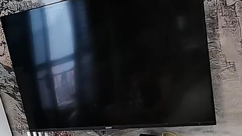 演唱会|宝华韦健音响套装沉浸式体验，在家享受“现场版演唱会”