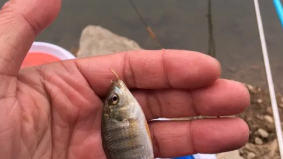 |穷人不配钓鱼？没钱就不能钓鱼么？钓鱼运动不能只是有钱人的运动