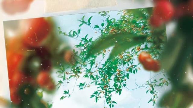 赵露思|吴露可逃CP又来了！赵露思、吴磊三搭《樱桃琥珀》，未演先轰动