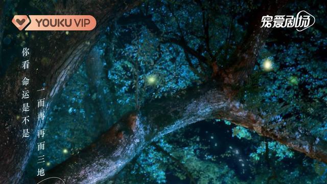 张彬彬|先搭王鹤棣，再搭张彬彬，“小作精”虞书欣终在95花宝座争得一位