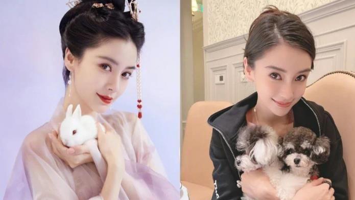Angelababy|偶遇Angelababy借厕所 网友叹：走了才知道是她