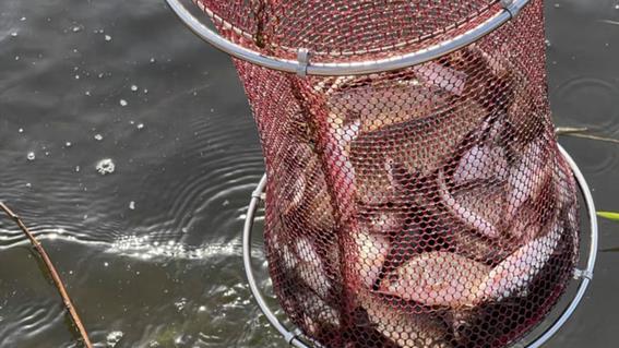 |钓鱼人：这4种行为不可有，容易遭人白眼