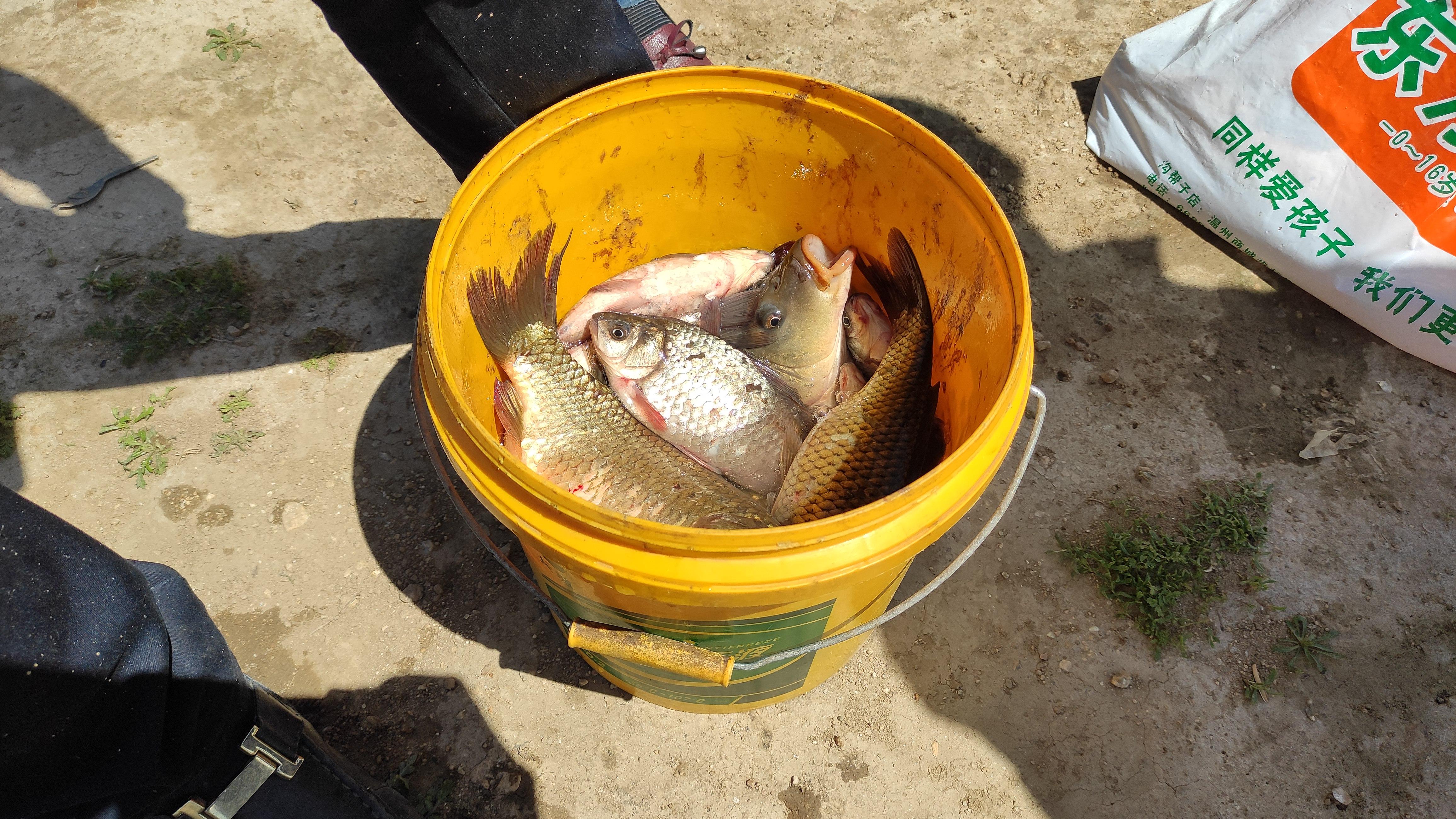 |小雪过后野钓难度升级，记住这五钓五不钓，天气再冷也能连竿上鱼