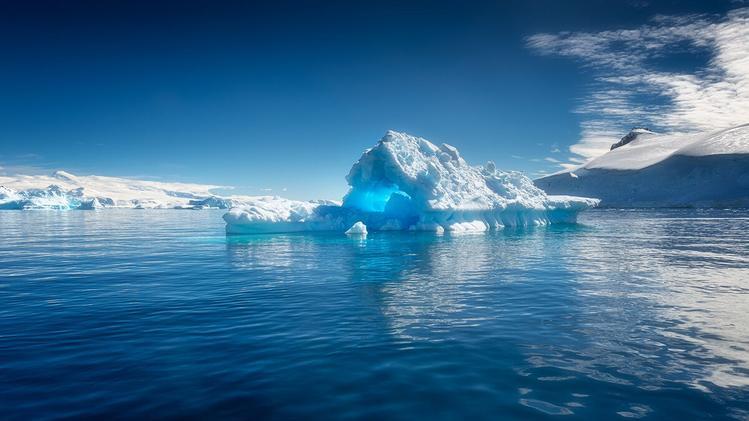 南极冰层之下，科学家意外发现一个生物世界