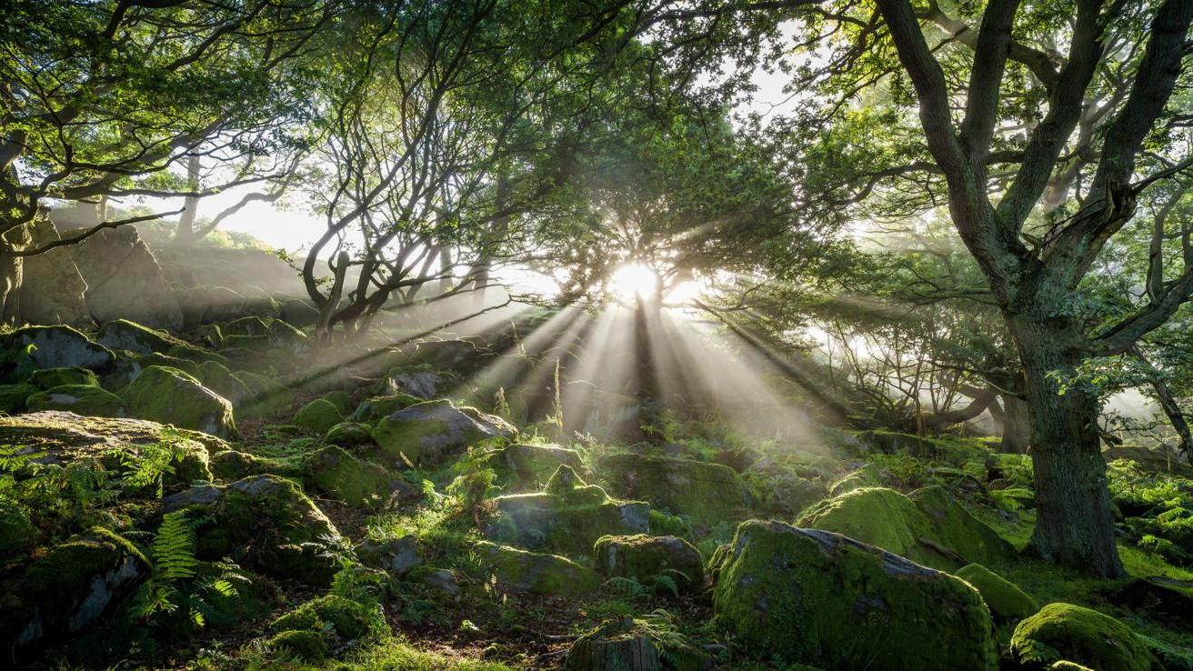 |领导不喜欢听下属的这些话，你知道吗？