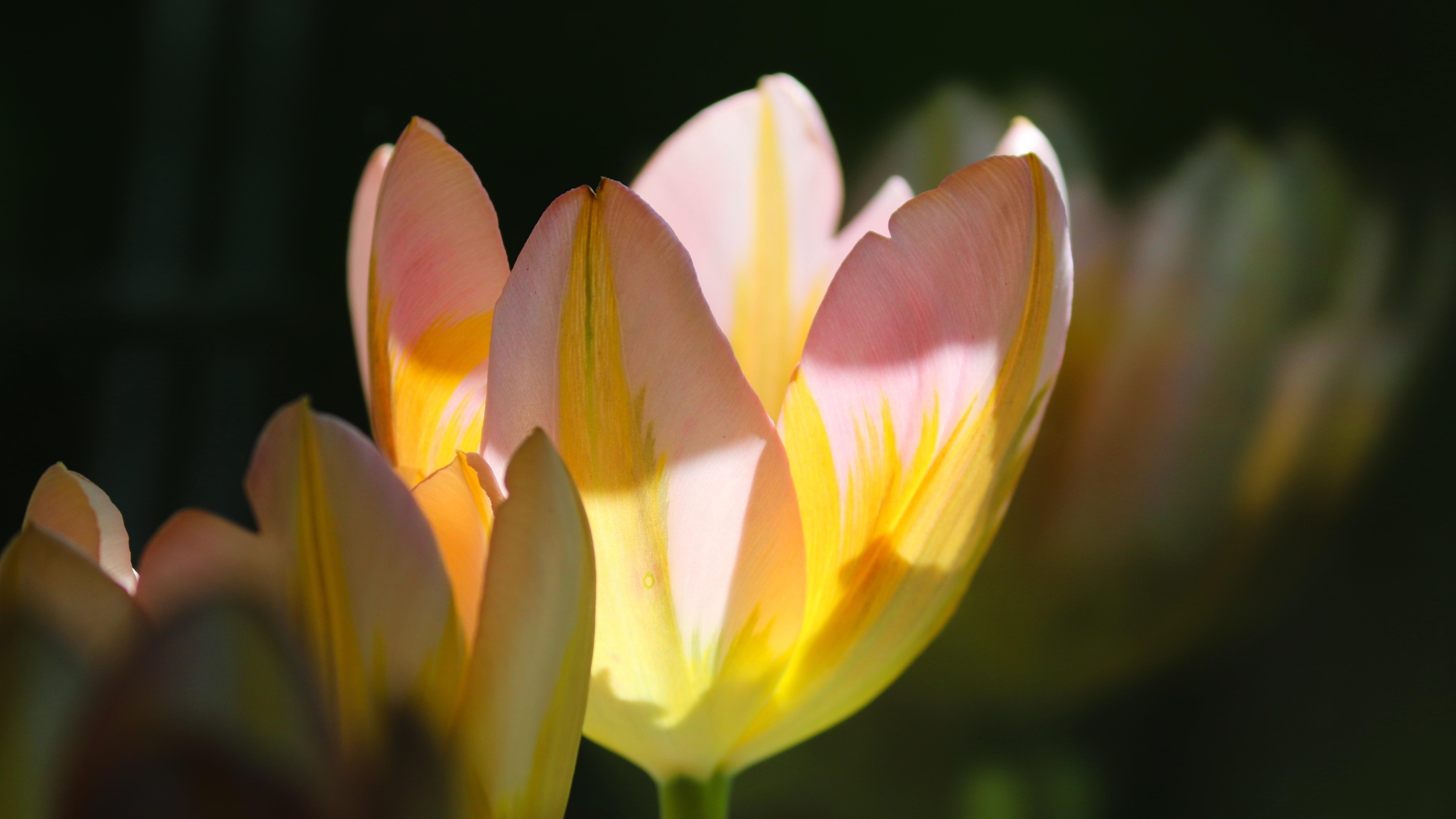 |跟错领导，前途无望！领导值不值得跟随看这5个方面