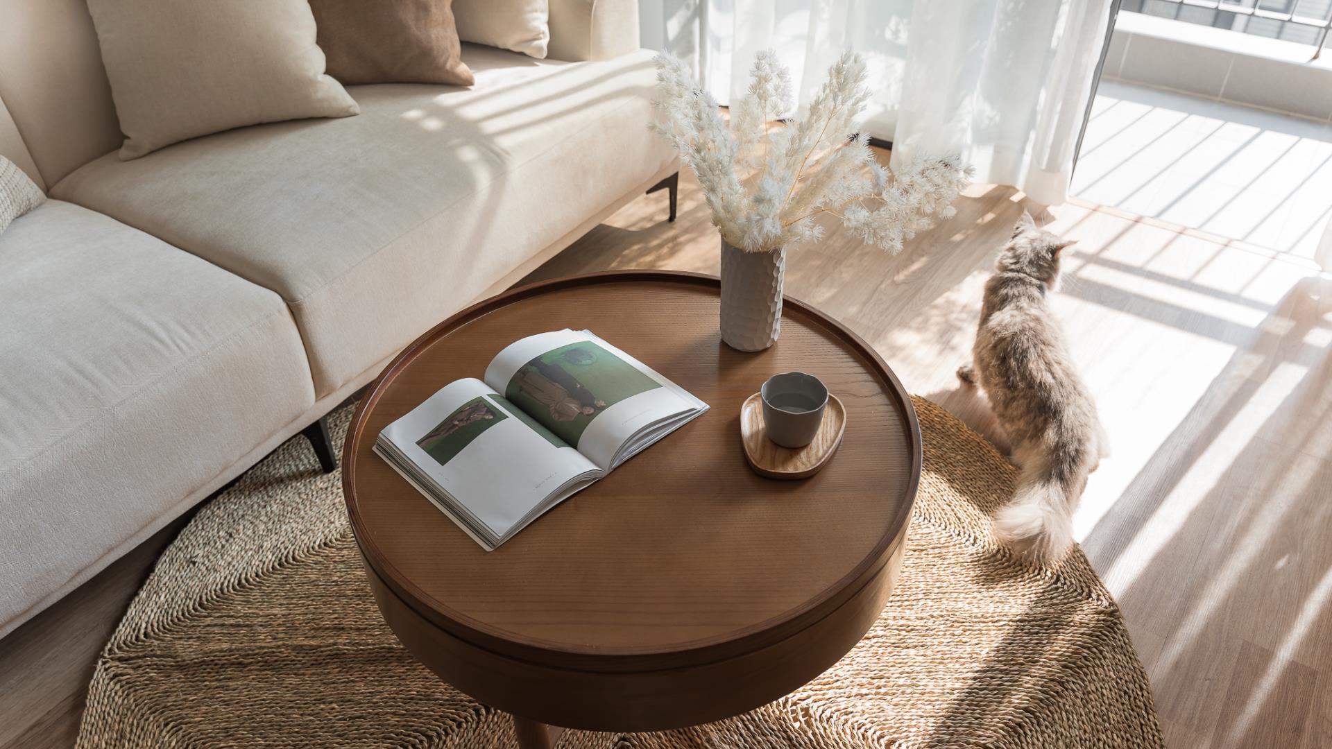 一人独居，可以不华丽，舒适度一定要有，才是真正向往的生活状态