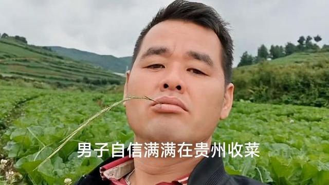 广西男子拉白菜下高速走绿通，收费员说他的白菜不是白菜不能免费