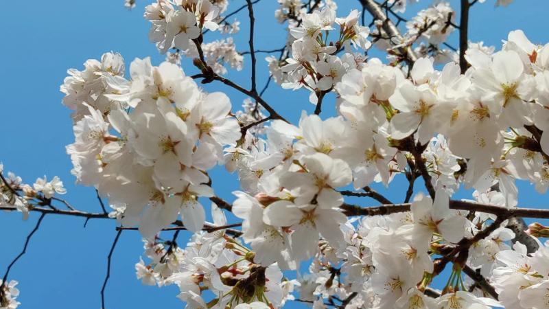 柳河|你最不想听的10句大实话