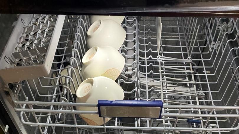 正在装修新房，蒸箱需要买吗？洗碗机买多大的合适？