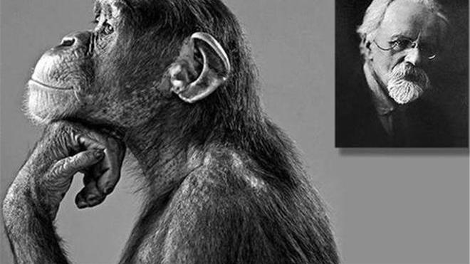 疯狂的科学家，试图让5个女人怀上黑猩猩的孩子，过程有多残忍？