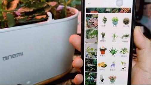 在都市也能够感受田园生活，快来体验一下吧！