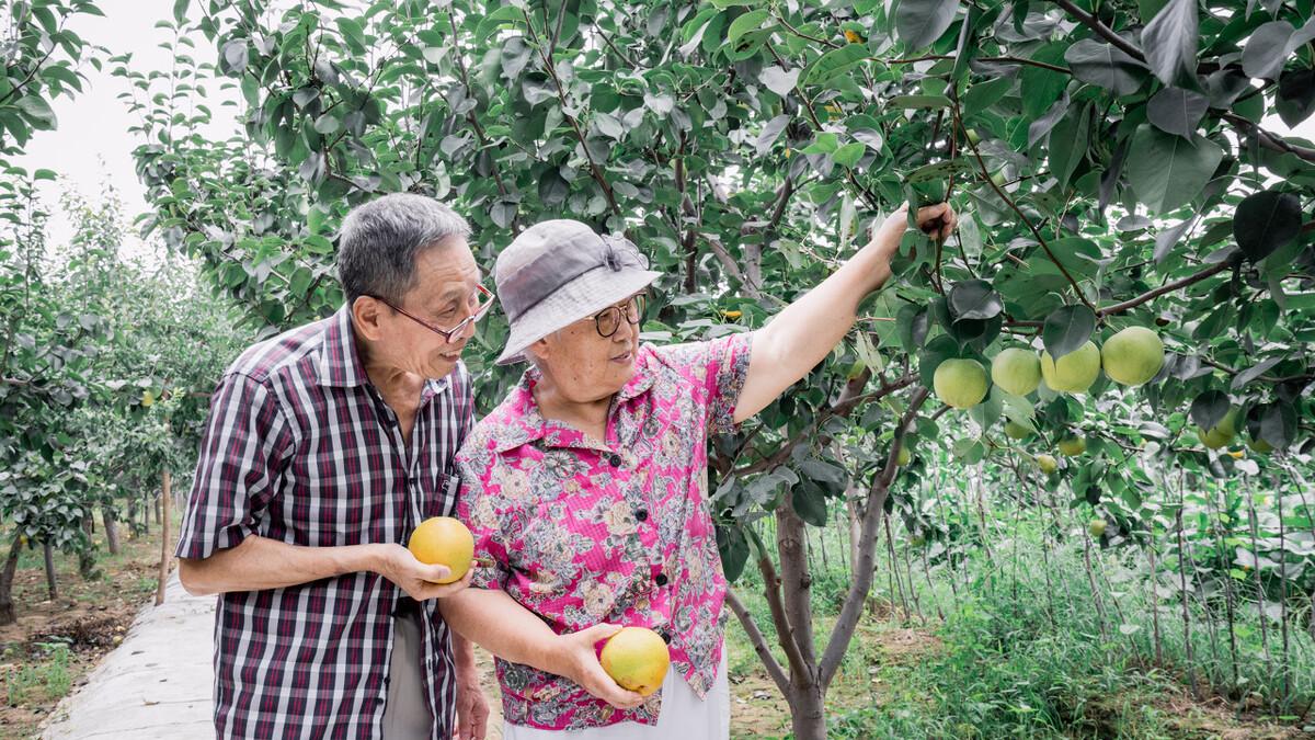 65岁大妈坦言：晚年不再婚，和小叔子搭伙过日子半年，舒心又幸福