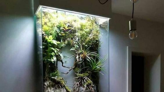 如今一个比一个会装修，喜欢养鱼或海洋的，家里6处试用水族箱端景